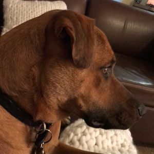 Meet your Posher, Maggie